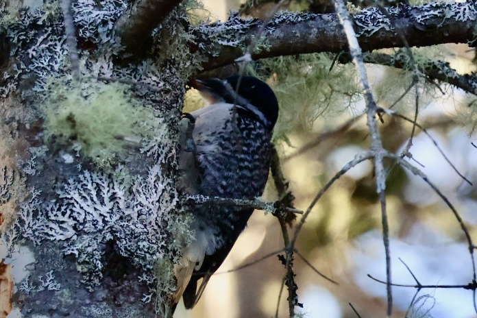 Mapping out my 2026 Plan